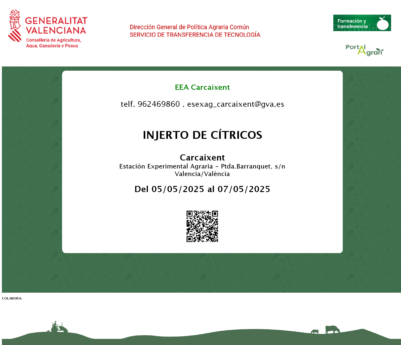  INJERTO DE CÍTRICOS
